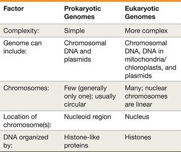 Comparison table of prokaryotic and eukaryotic genomes