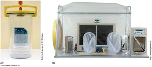 Incubation under anoxic conditions