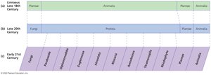 Changing classification of eukaryotes over the centuries