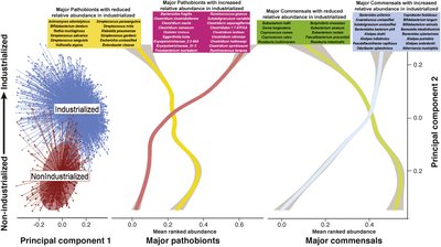 Principal component analysis of gut microbiomes in industrialized vs. nonindustrialized societies