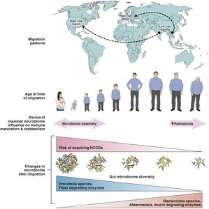 Migration, age, and microbiome changes related to disease risk