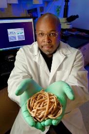 Scientist holding helminth worms