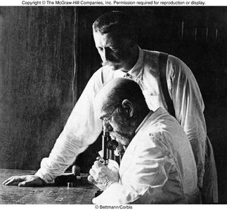 Robert Koch and assistant at microscope