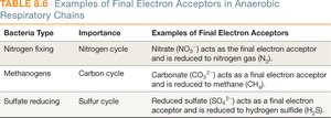 Anaerobic electron acceptors table