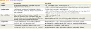 Invasin examples