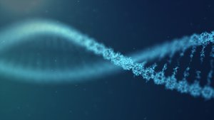 DNA double helix representation