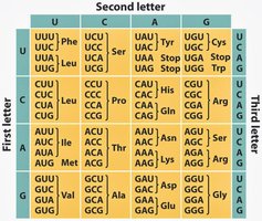 Genetic code table