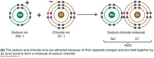 Ionic bond formation resulting in sodium chloride