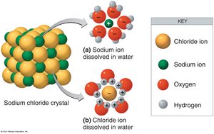 Water as a solvent for sodium chloride