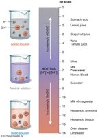 The pH scale