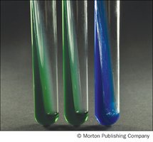 Citrate test results: negative (green) and positive (blue)