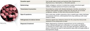 Table summarizing conjunctivitis