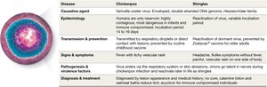 Table comparing chickenpox and shingles