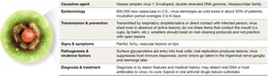 Table summarizing HSV-1 infection