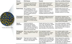 Table comparing Fifth Disease, Roseola, and Hand, Foot, and Mouth Disease