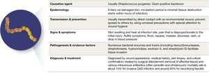 Table summarizing necrotizing fasciitis