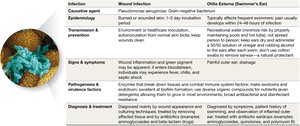 Table summarizing Pseudomonas wound and ear infections