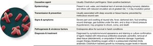 Table summarizing gangrene