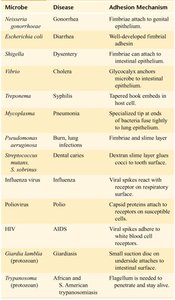 Adhesion table