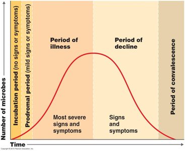 Stages of infection