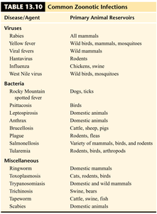 Common zoonotic infections table