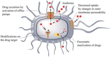 Mechanisms of bacterial resistance