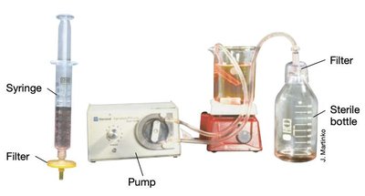 Filtration apparatus