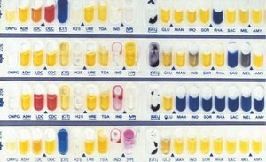API 20A system for identification of Enterobacteriacae