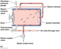 Diagram of an autoclave