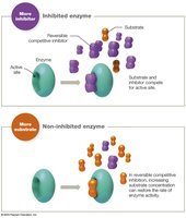 Competitive inhibition: substrate vs inhibitor