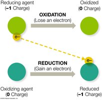 Redox reaction diagram