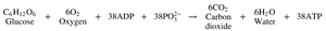Overall equation for aerobic respiration