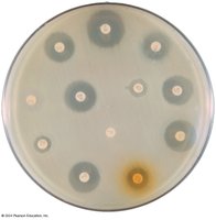Disk-Diffusion Method for Determining Activity of Antimicrobials