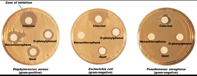 Disk-Diffusion Method Plates