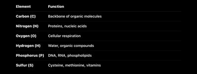 Table of major elements and their functions in microbial cells