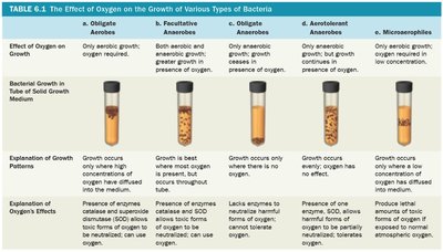 Table showing the effect of oxygen on bacterial growth