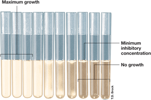 Minimum inhibitory concentration assay