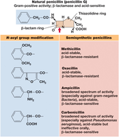 Structure and modifications of penicillins