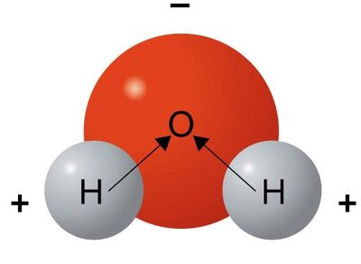 Water molecule showing polarity