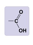 Carboxyl functional group
