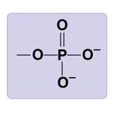 Phosphate functional group