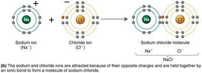 Formation of sodium chloride by ionic bond