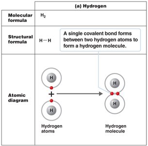 Covalent bond formation in hydrogen