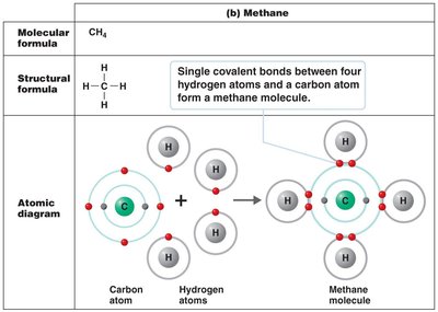 Covalent bond formation in methane