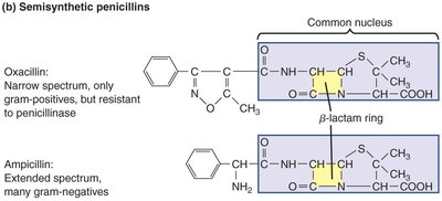 Semisynthetic penicillins structure