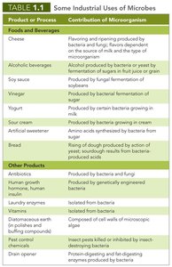 Some industrial uses of microbes