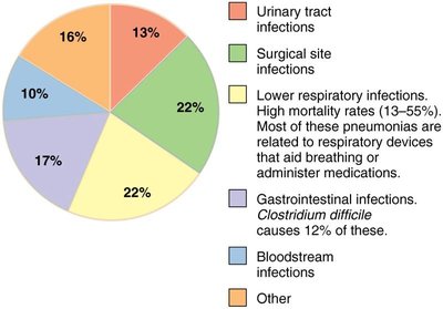 Principal sites of healthcare-associated infections (pie chart)