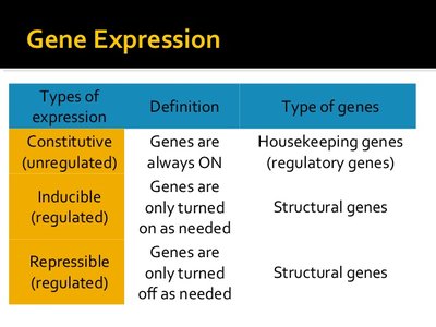 Table of gene expression types