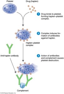 Mechanism of drug-induced cytotoxic reaction