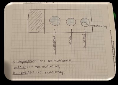 Notebook example: clear corrections